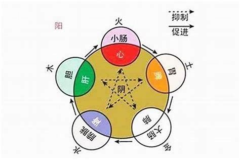 五行喜木火|怎么看自己的八字属性？